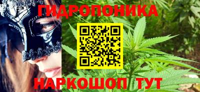 ALPHA PVP Гусев