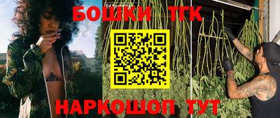 прущий лед Гатчина