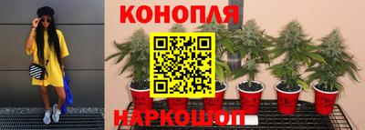 прущий лед Гатчина