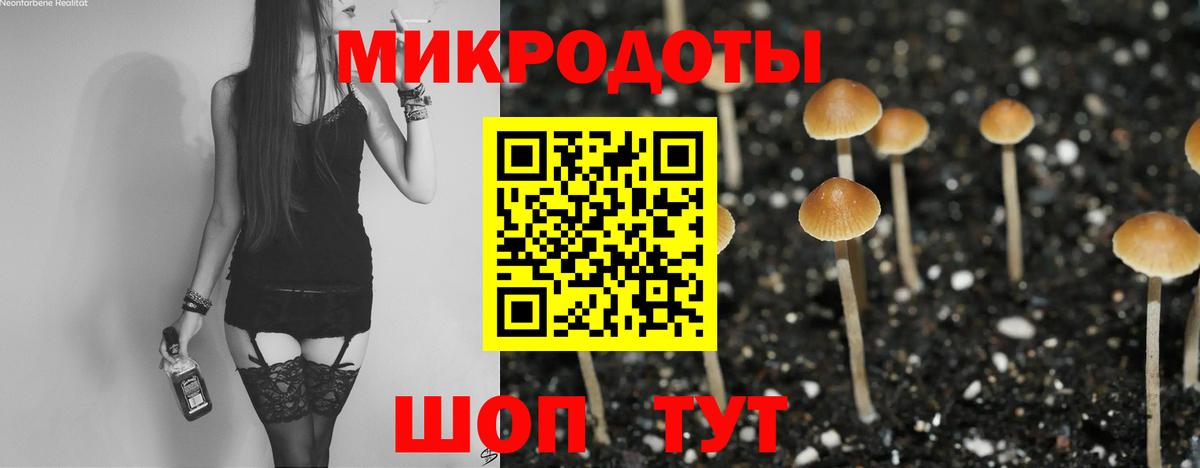 Псилоцибиновые грибы мицелий  Вход с VPN  Кашира 